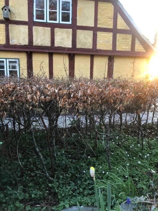 Idyllisk, Historisk Byhus Ved Fjorden I Mariager Zewnętrze zdjęcie